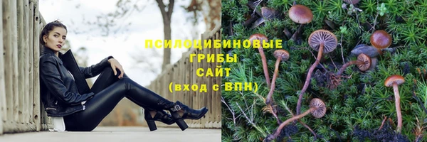 первитин Ессентукская