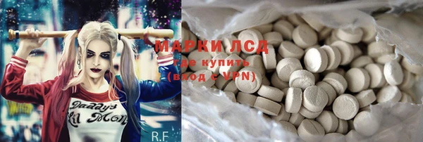 PSILOCYBIN Санкт-Петербург