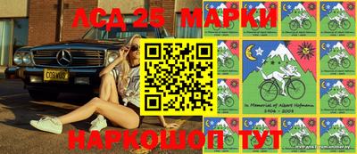 шишки Гатчина