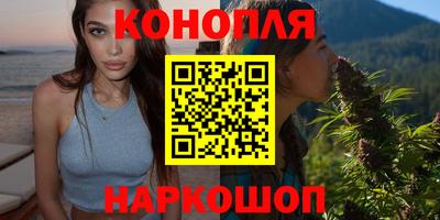 шишки Гатчина