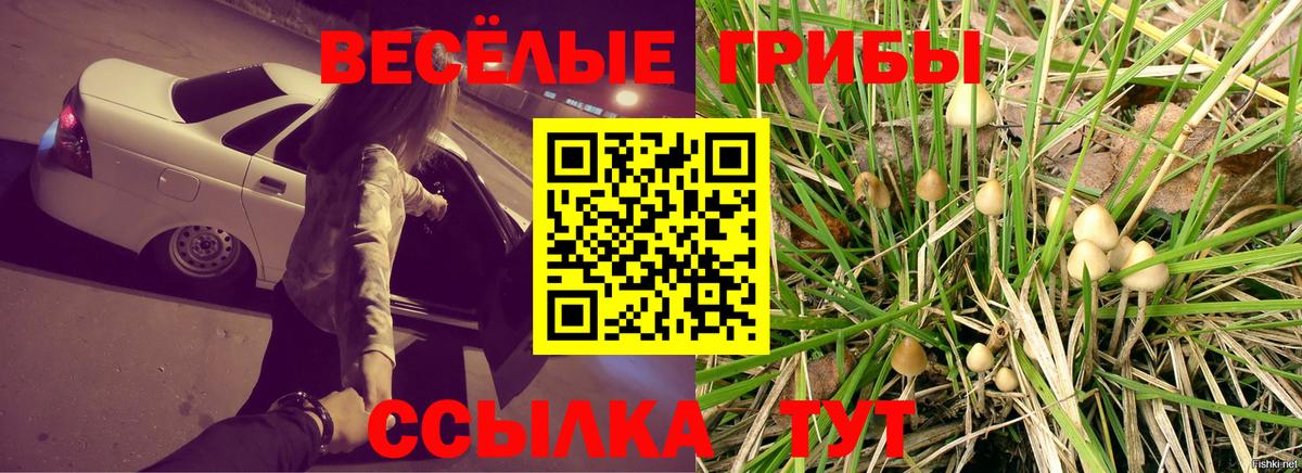Псилоцибиновые грибы ЛСД  Гуково  Галлюциногенные грибы прущие грибы 