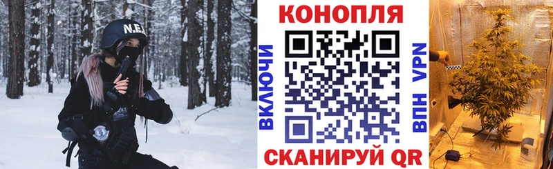 Бошки Шишки VHQ  купить   Гуково 